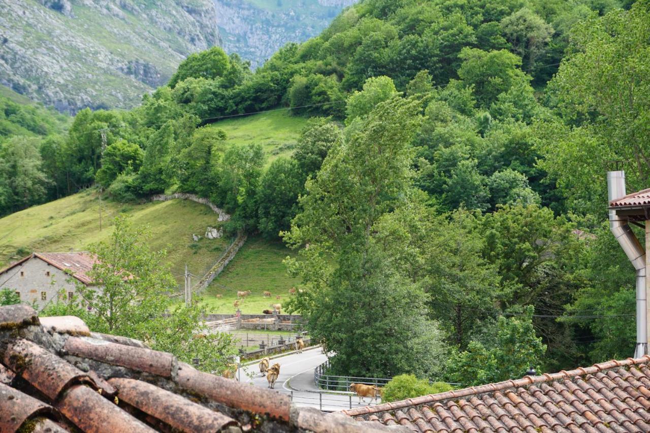 Apartahotel Montecaoru Arenas De Cabrales Exteriér fotografie